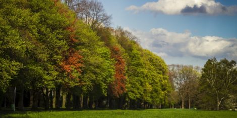 How to reduce solar risk from seasonal variability