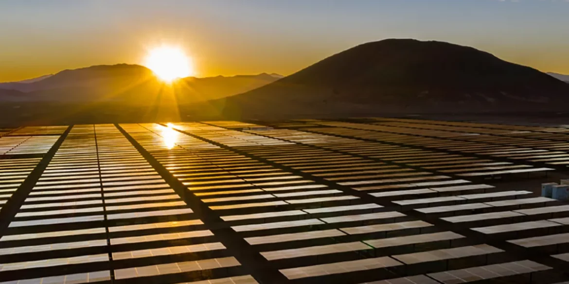 Solar panel field at sunrise