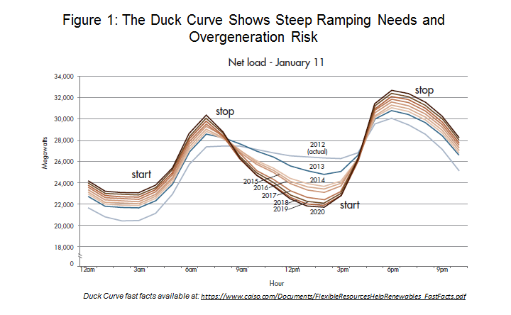 FillBelly_DuckChart