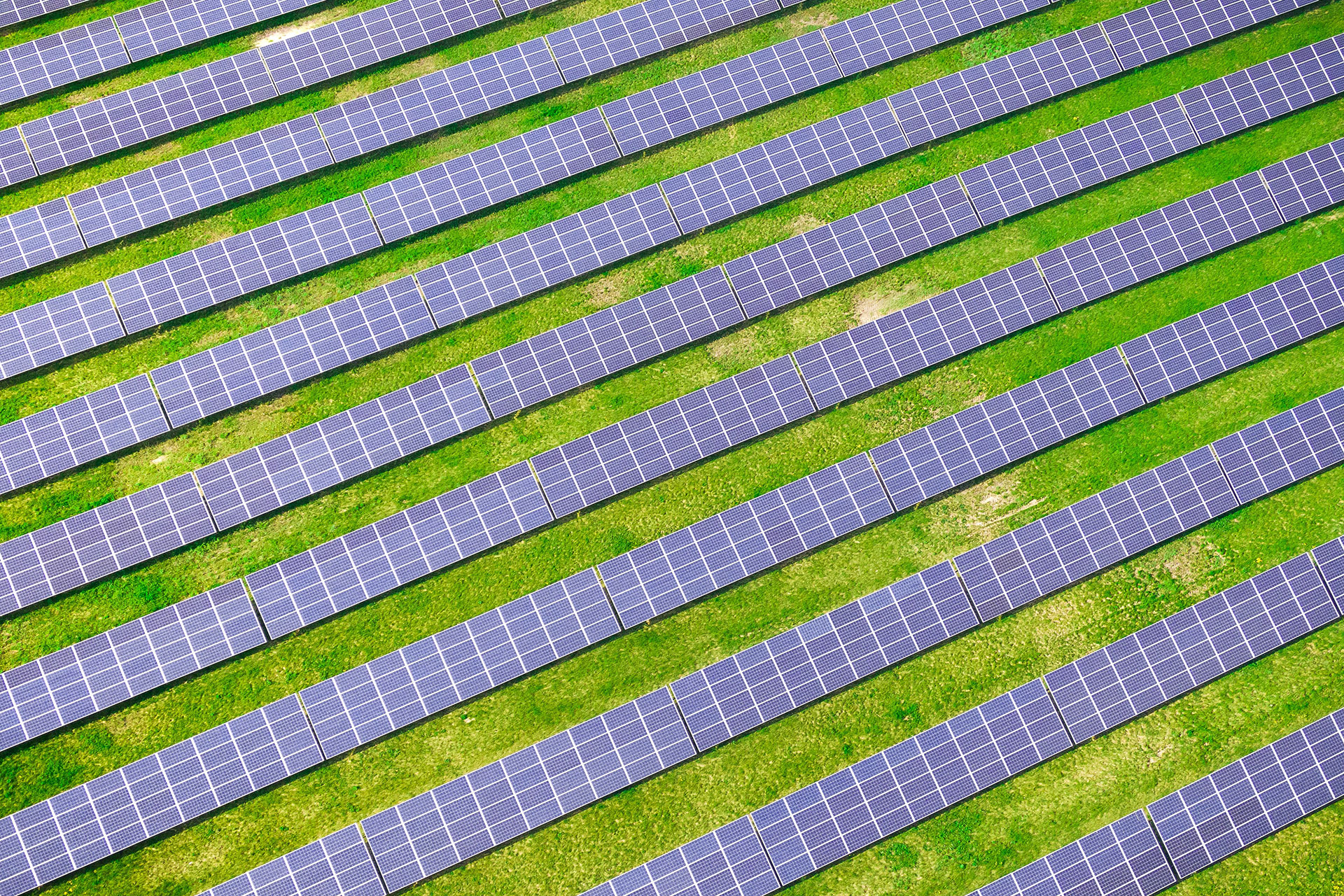 Solar panel farm