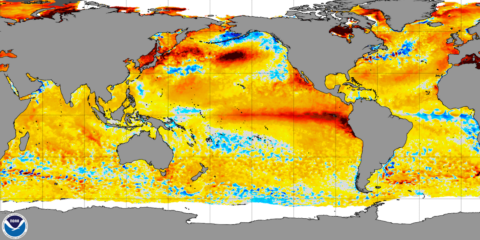 How El Niño can help PV asset managers reduce month-ahead irradiance forecast risk