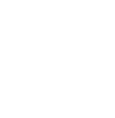 balanced scales - objectivity