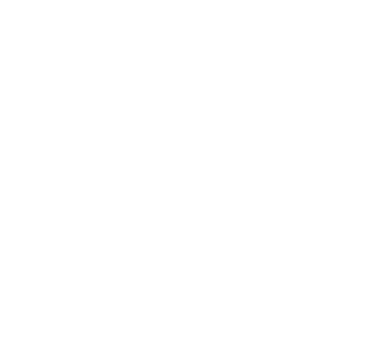 excellence award ribbon