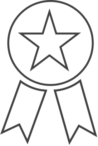 ribbon outline icon