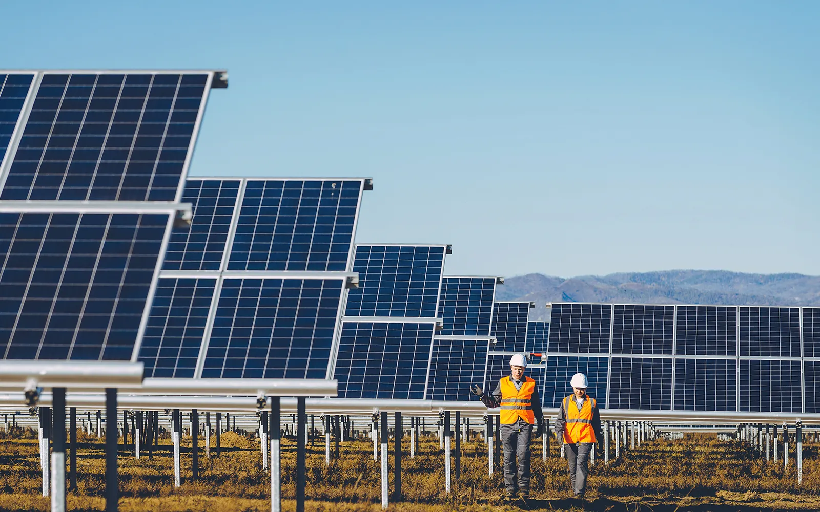 solar-farm-with-workers-as_177096990 Solar farm with workers walking through field
